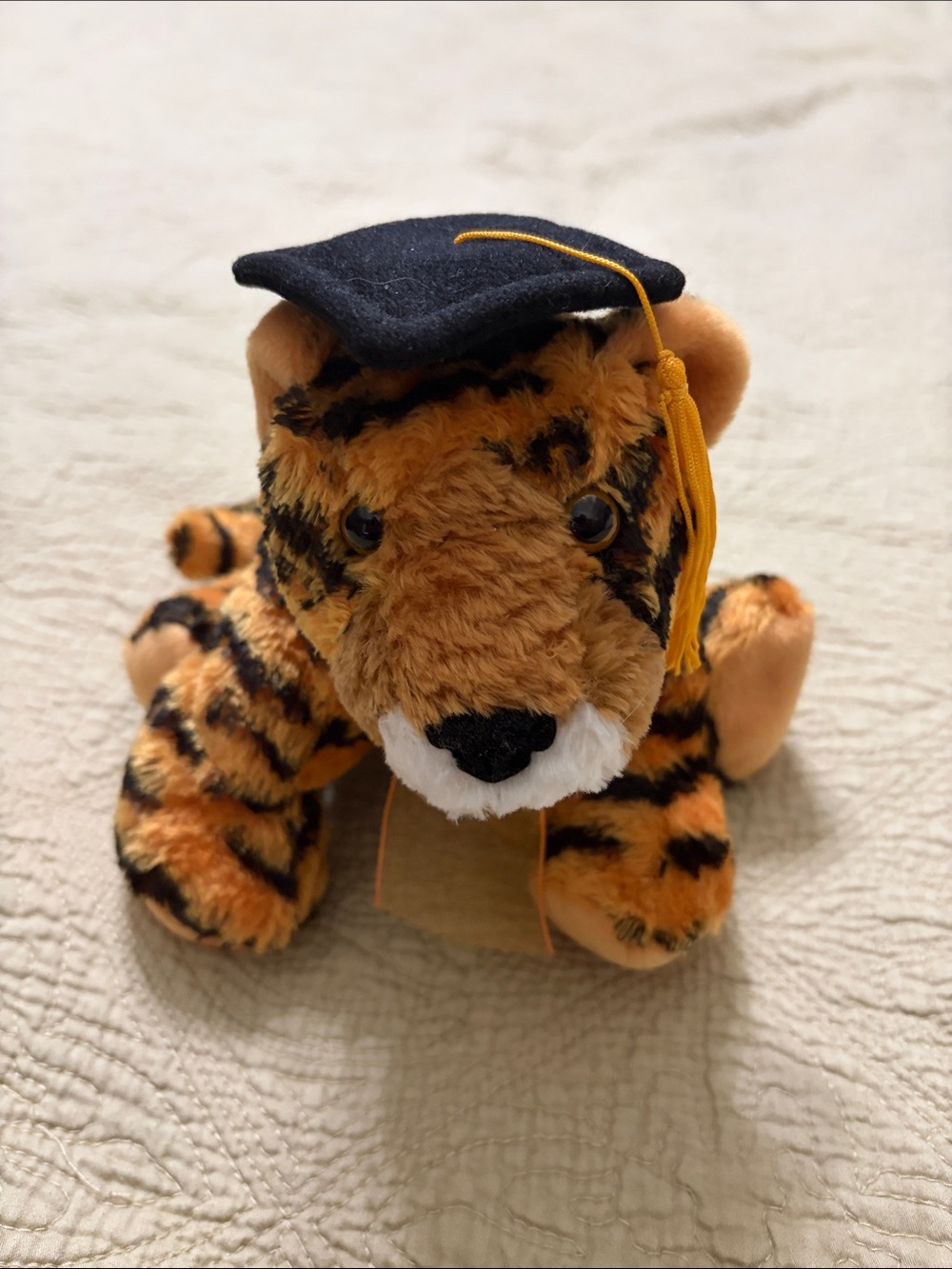 Graduation Tiger Plush Toy - Orange Tiger with Black Cap